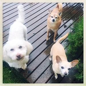 Meet your Posher, Allison